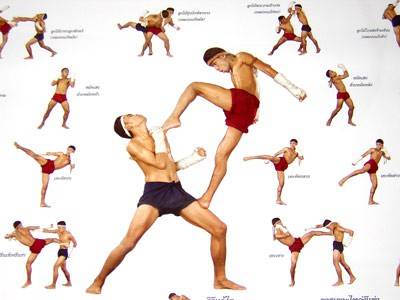 Muai Thai Tachniques